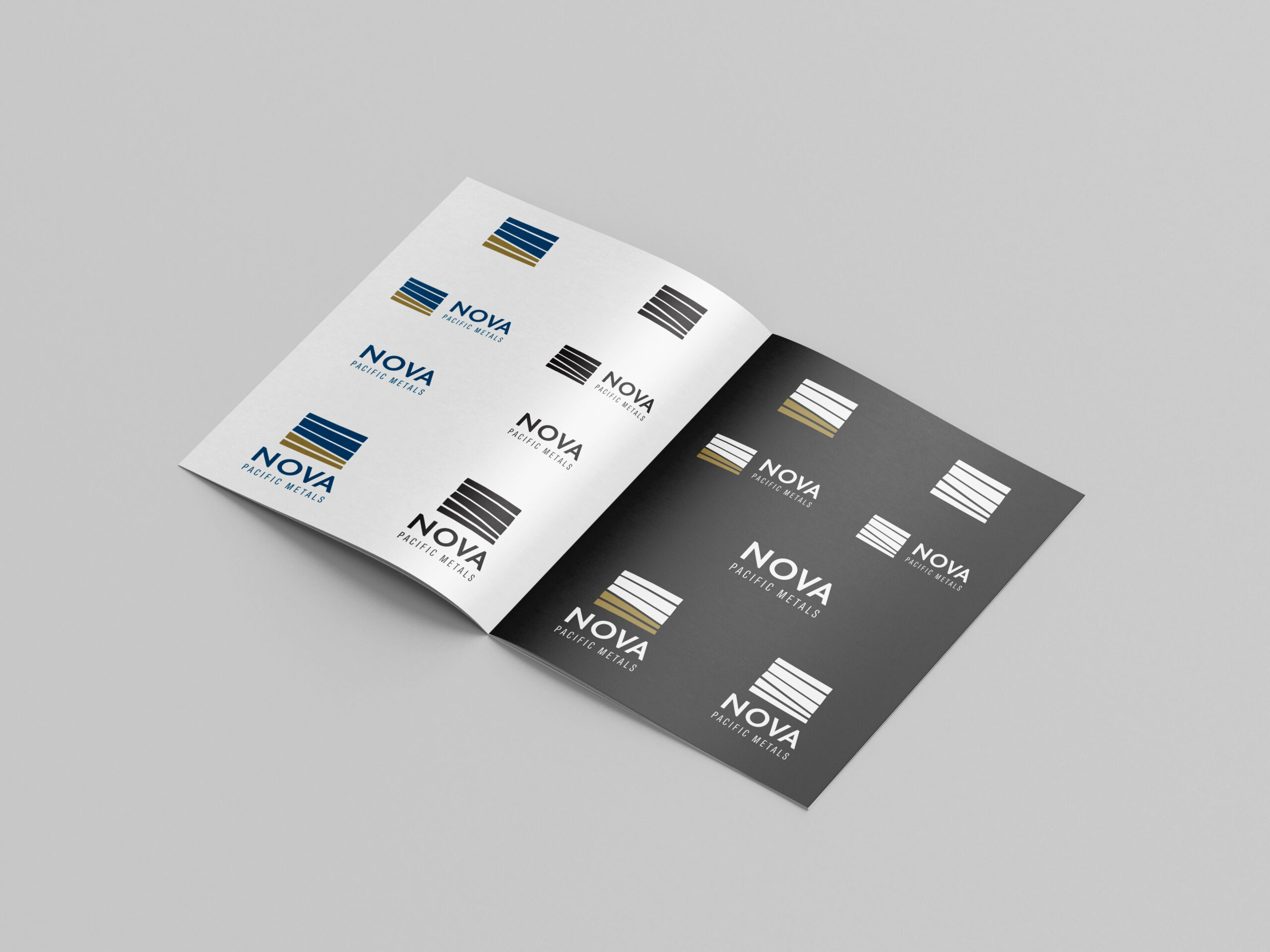 brand guideline with various logo sizes and colour inversions